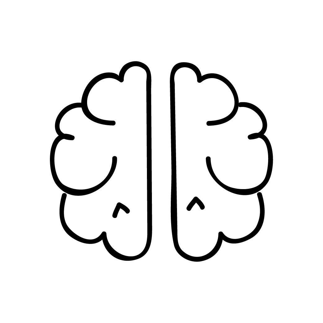 desarrollo cognitivo