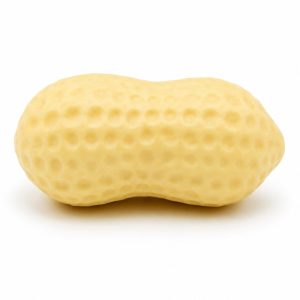 Jumbo Peanut Squishy
